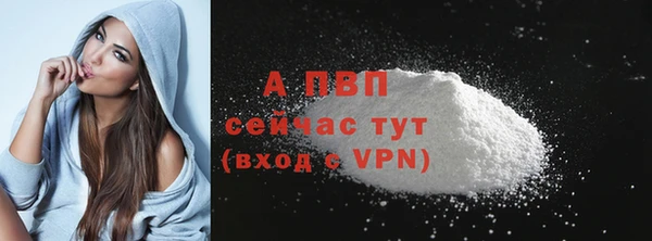 стафф Зерноград