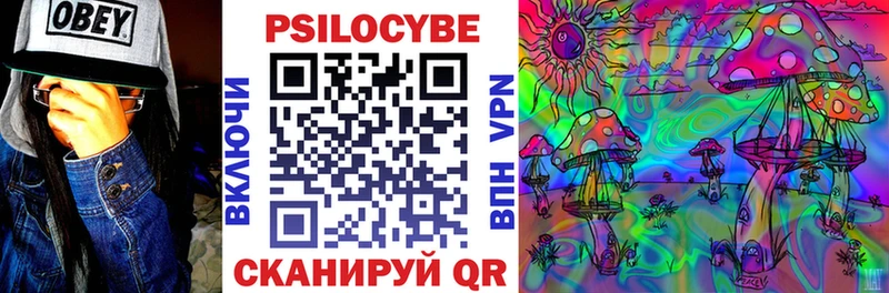 Псилоцибиновые грибы мицелий  Купить где  Зима 